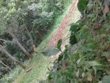 Land for sale in akurana delgastenna