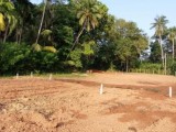 Valuable land for immediate sale in Balapitiya.