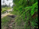 ඉක්මනින් vikunanu labe
