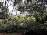Land in Ratnapura