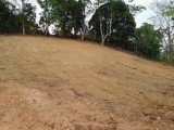 සින්නක්කර ඔප්පු - පර්චස් 48ක බිම්කොටසක්