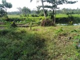 Land For Rent