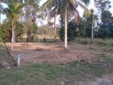 දිවුලපිටිය අගනා පර්චස් 16 ඉඩමක්
