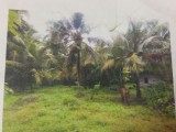 Land for sale urgently .