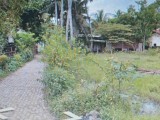Bear Land For Sale