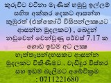 ඉඩම විකිණීමට