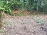 ඉඩමක් විකිනීමට කැස්බෑව  Land for Sale Kasbewa