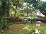 LAND FRO SALE MATHTHEGODA