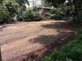 Valuable land for sale in Pannipitiya