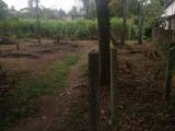 Land for Sale in Kottawa