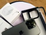 Apple Other Model 13pro 256 GB  (Used)