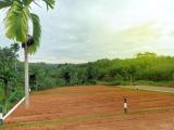 Nittabuwa Warakapola නගරයන්ට මැදිව නේවාසික බිම් කොටස්