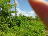 land for sale near wadiyamankada