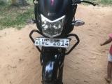 Hero Hunk 2010 (Used)