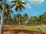 Land for sale padukka Udumulla
