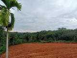 වේවැල්දෙණියෙන් හොඳම ඉඩමක්
