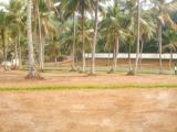 Land for sale padukka Udumulla