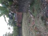 Land for sale in negombo