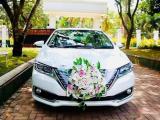 Wedding car