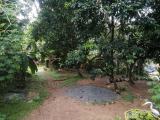 Land with house Pugoda town