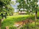 Lands for sale in Rathnapura
