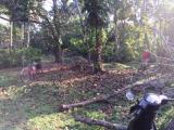 Habaraduwa Land