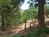 Land with house