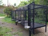 Dog cage