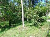 land for sale in Yakkala (in kirindiwela road)
