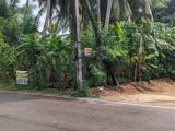 Premium Land for Sale Near Udugampola, Gampaha