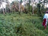 Hanwella man road