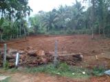 ඉඩමක් විකිණීමට ඇත.