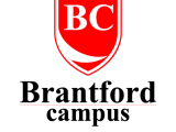 Job Opportunity: Student Consultant at Brantford Campus