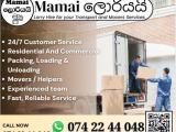 Looking for a reliable transport moving solution?