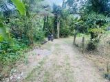 Land sale for migration purposes