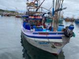 Boat For Sale