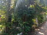 LAND FOR SALE PILIYANDALA