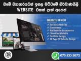 Professional Website Desgin